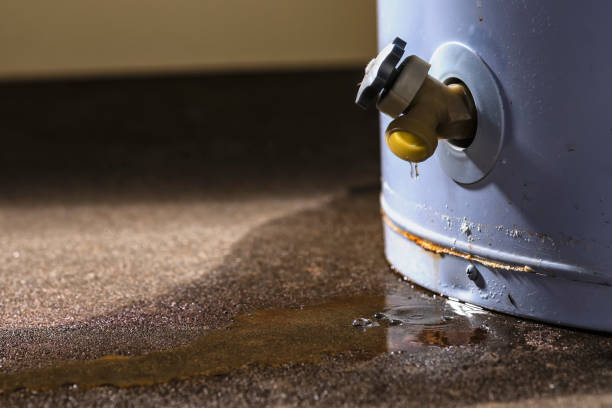 Best Water damage mitigation services  in Wyandotte, MI