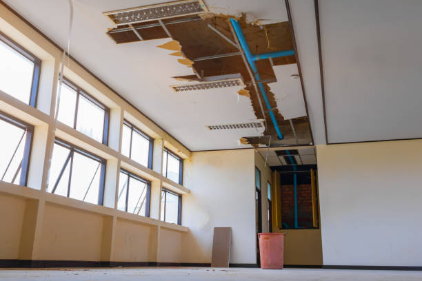 Best Emergency water damage restoration  in Wyandotte, MI
