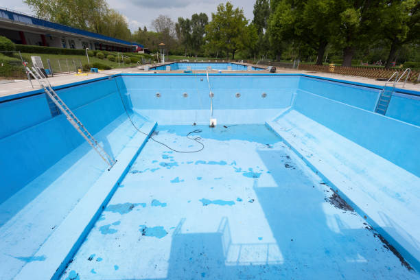 Best Professional water damage repair  in Wyandotte, MI