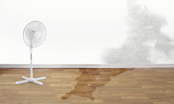 Best Sewage cleanup and water damage restoration  in Wyandotte, MI