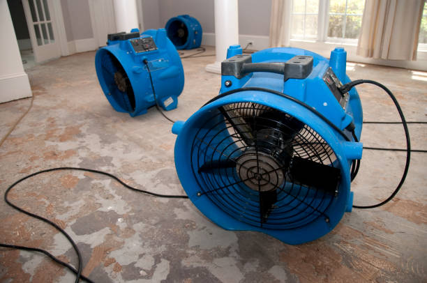 Water damage restoration insurance claims in MI
