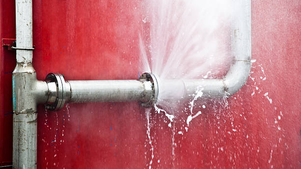 Best Basement water damage restoration  in Wyandotte, MI