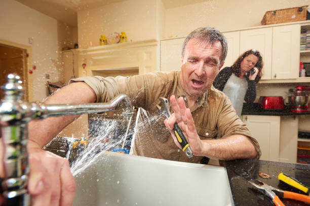 Best Water damage restoration near me  in Wyandotte, MI